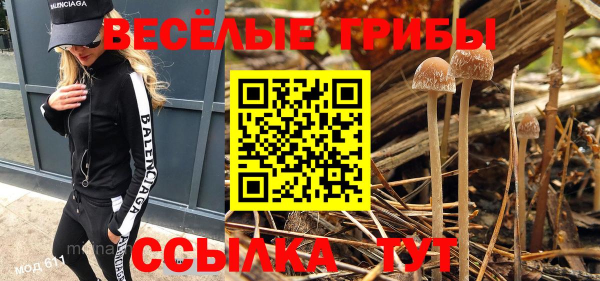 Псилоцибиновые грибы GOLDEN TEACHER  Псилоцибиновые грибы MAGIC MUSHROOMS  Вход с VPN  Джанкой 