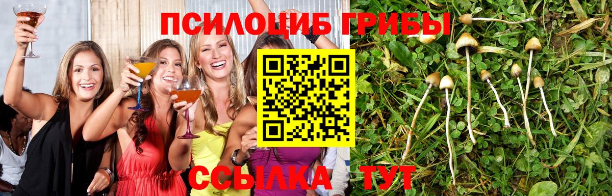 Псилоцибиновые грибы Cubensis Джанкой